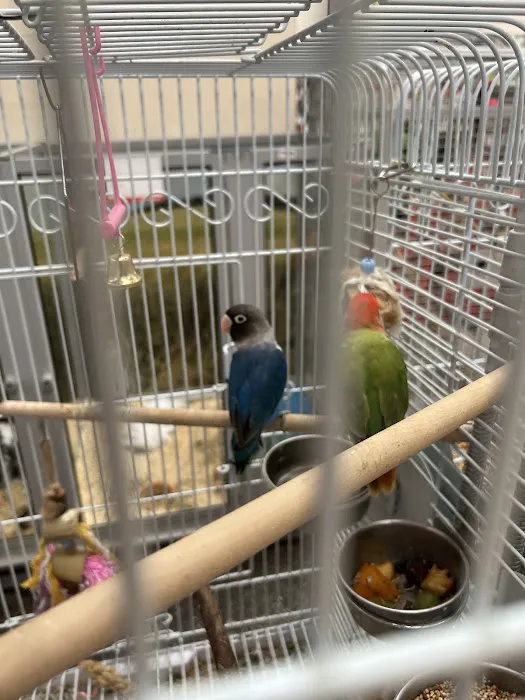 Jollyes - The Pet People Lisburn Picture 8