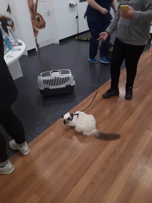 Vets for Pets - Leicester Beaumont Leys Picture 6