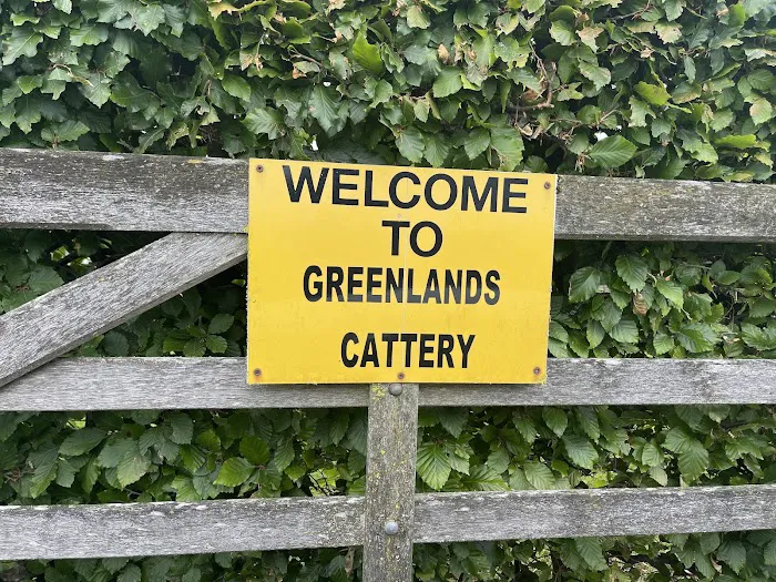 Greenland's Cattery Picture 2