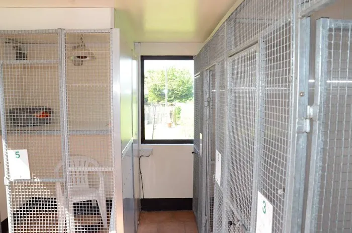 Greenland's Cattery Picture 5