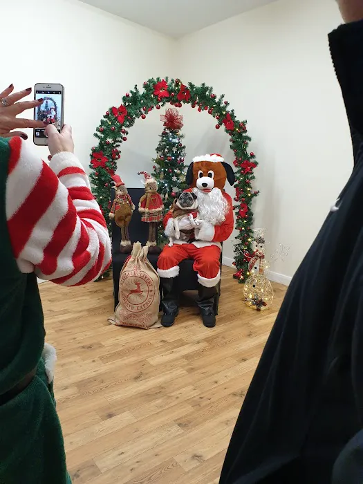 Pet Bay Ltd Picture 1