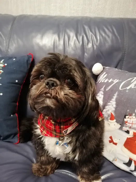 Pet Bay Ltd Picture 7