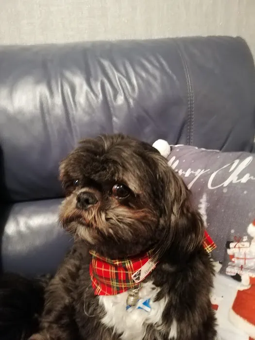 Pet Bay Ltd Picture 9