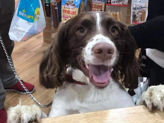 Pet Bay Ltd Picture 10