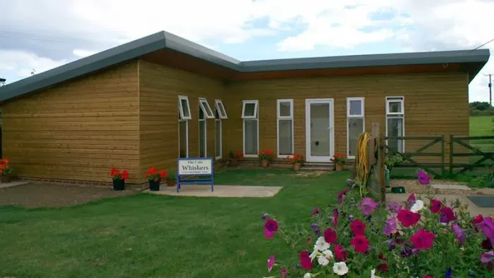 The Cats Whiskers Cattery East Yorkshire Picture 8
