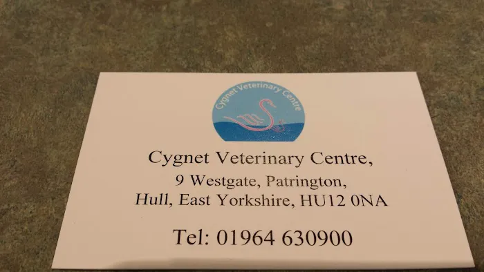 Medivet Patrington - Cygnet Veterinary Service Picture 5