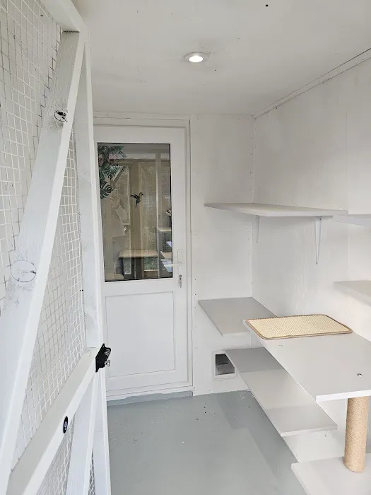 Purrchester cat & small animal Hotel Picture 1