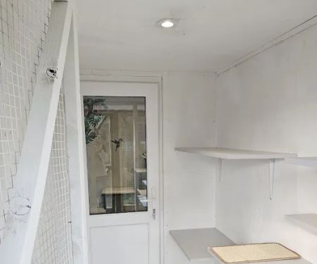 Purrchester cat & small animal Hotel