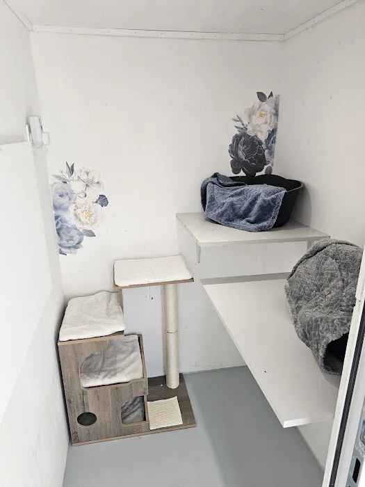 Purrchester cat & small animal Hotel Picture 2