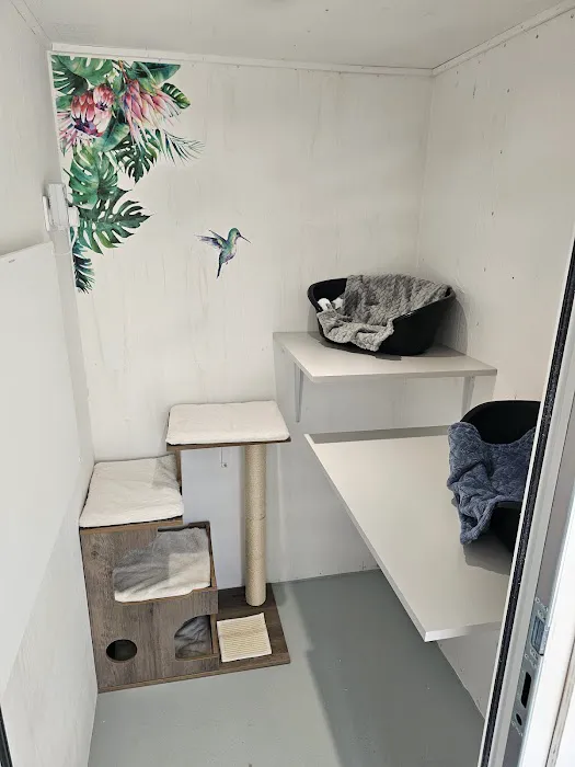 Purrchester cat & small animal Hotel Picture 4