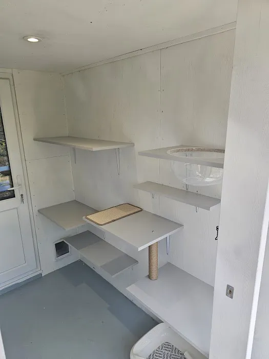 Purrchester cat & small animal Hotel Picture 7