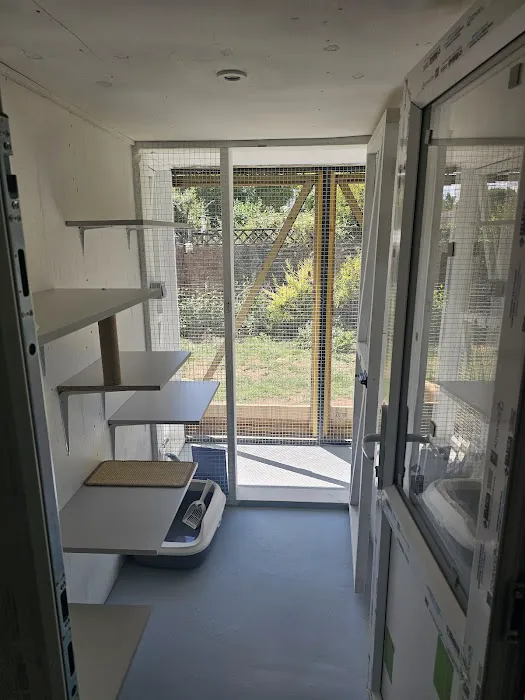 Purrchester cat & small animal Hotel Picture 9