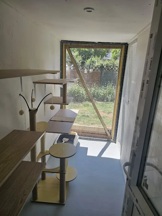 Purrchester cat & small animal Hotel Picture 10