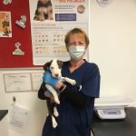 easipetcare - Kettering