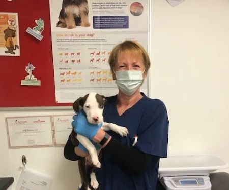 easipetcare - Kettering