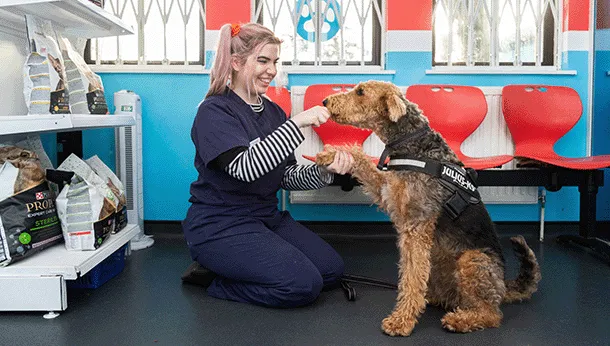 easipetcare - Kettering Picture 8