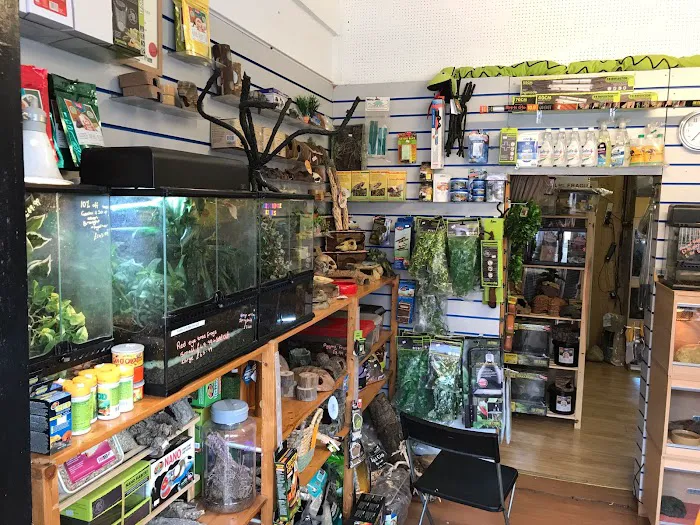 Kettering Reptiles Picture 3