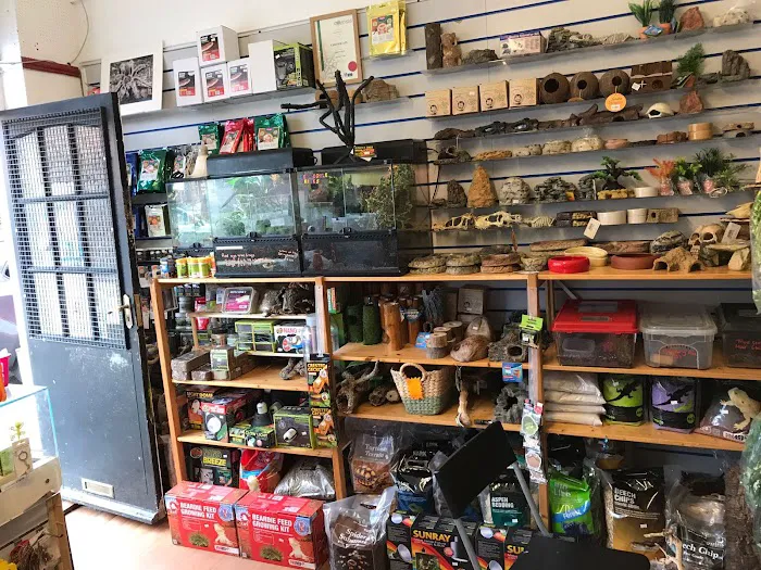 Kettering Reptiles Picture 6