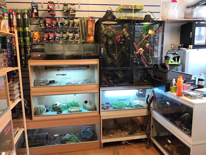 Kettering Reptiles Picture 9