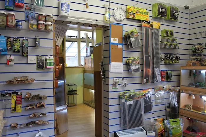 Kettering Reptiles Picture 8