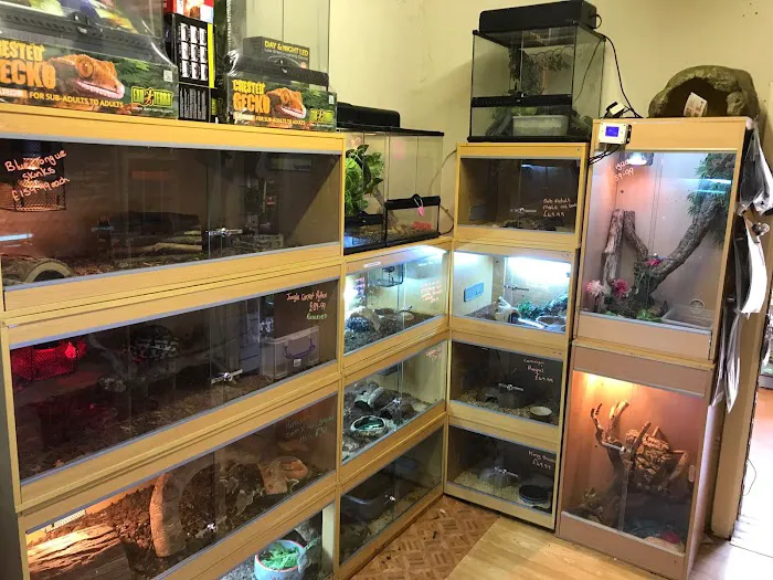 Kettering Reptiles Picture 10