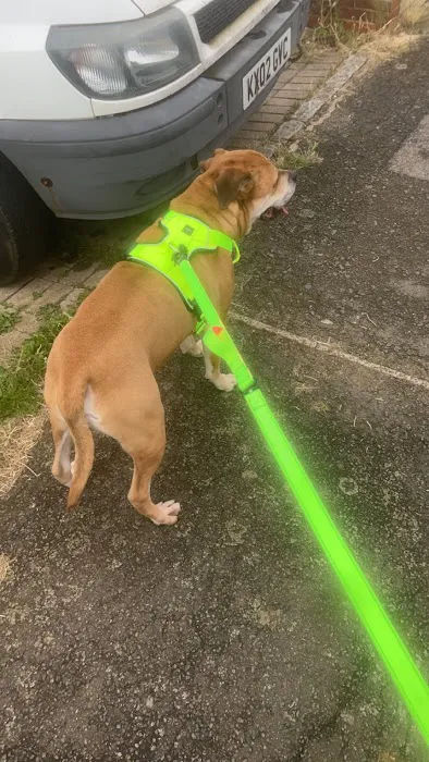 Jamie's Pet Store Picture 1