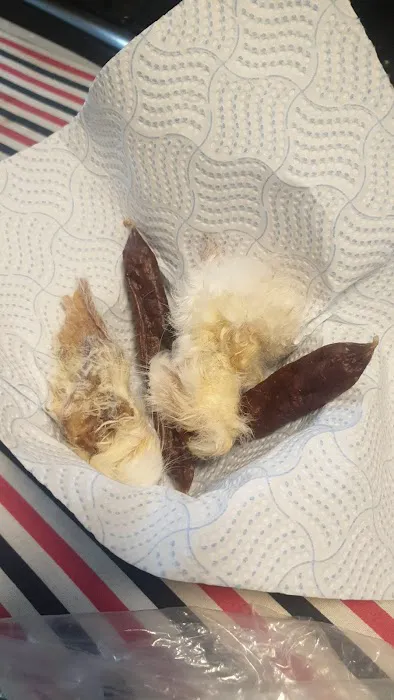 Jamie's Pet Store Picture 2