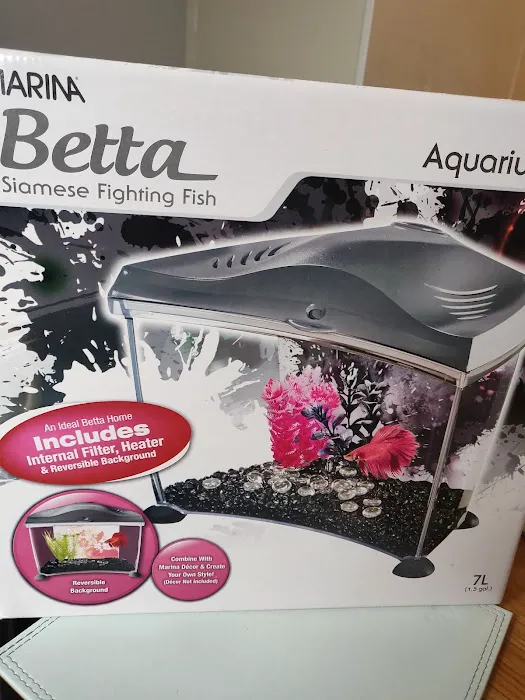 Kettering Koi & Ponds Ltd Picture 1