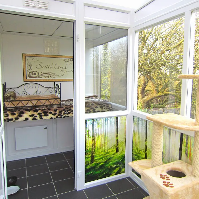 Bradgate View Luxury Cat Hotel Picture 3