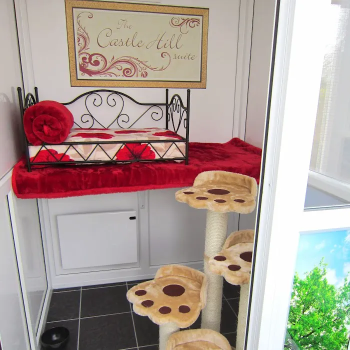 Bradgate View Luxury Cat Hotel Picture 6