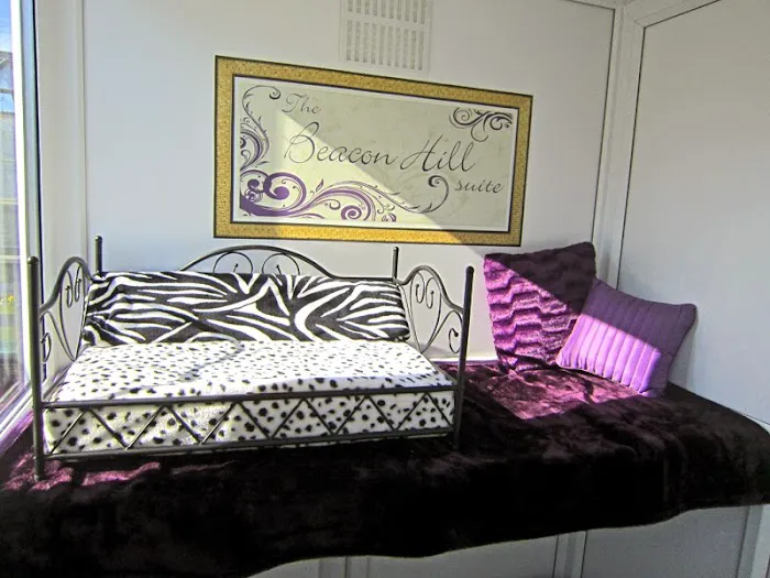 Bradgate View Luxury Cat Hotel Picture 7