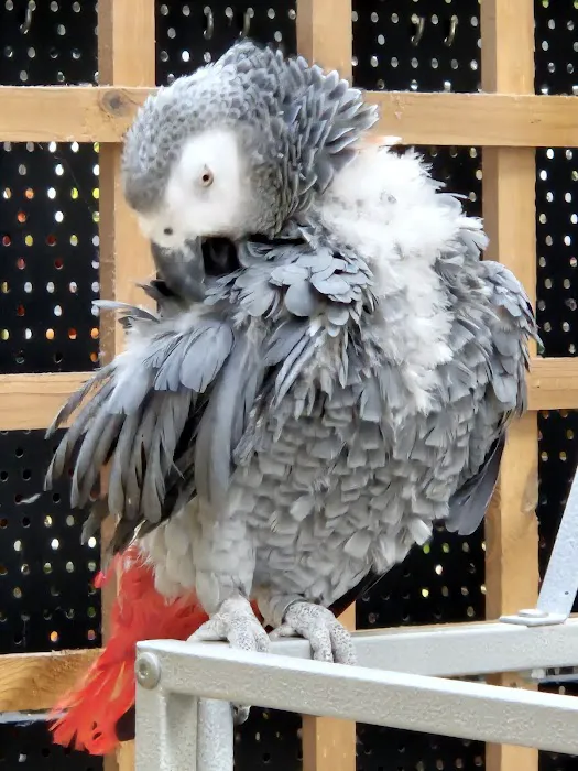 Maidenhead Aquatics Burton Latimer Picture 1