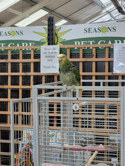 Maidenhead Aquatics Burton Latimer Picture 2