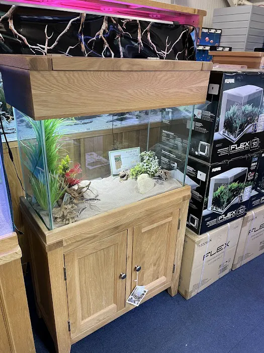 Maidenhead Aquatics Burton Latimer Picture 6