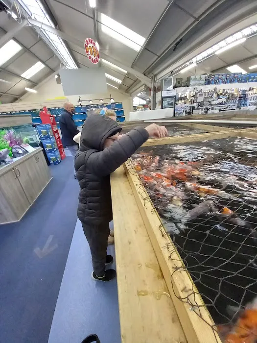 Maidenhead Aquatics Burton Latimer Picture 5