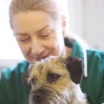 The Park Vet Group in Whetstone