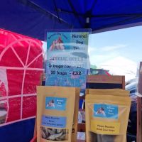 Mad Dogs Crazy Cats ico