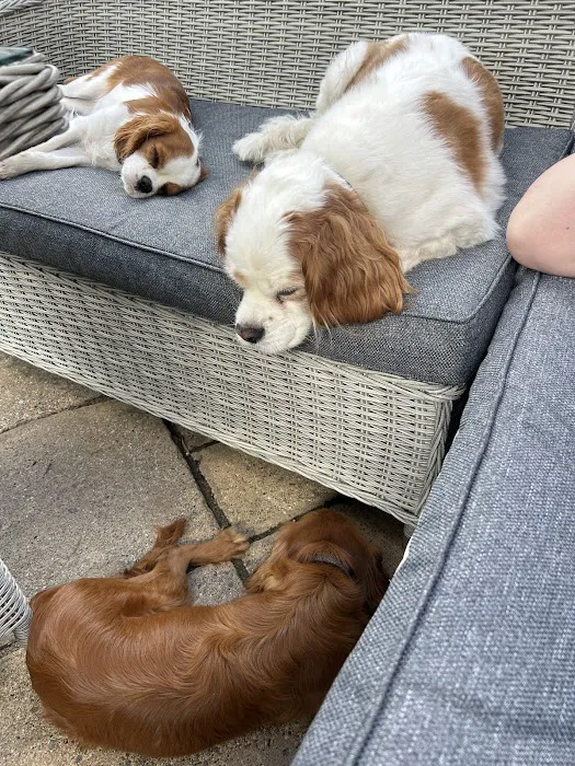 Pets Corner Picture 2