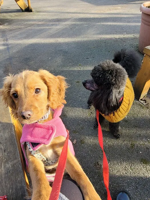 Pets Corner Picture 8