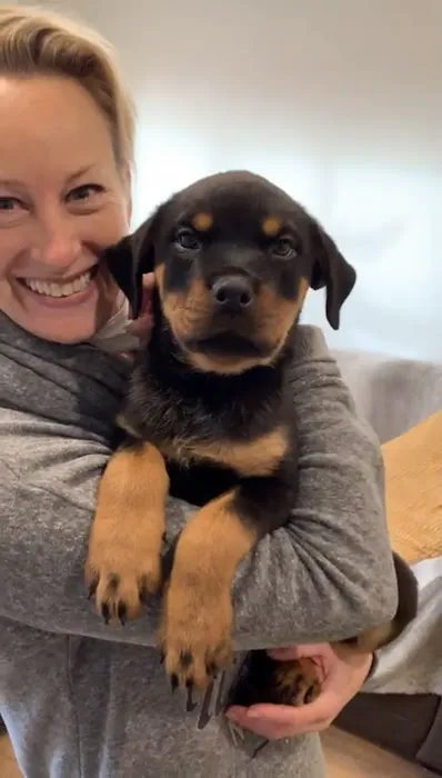 Pets Corner Picture 9