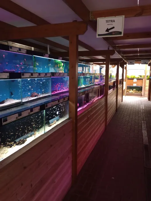 Maidenhead Aquatics Stapleton Picture 1