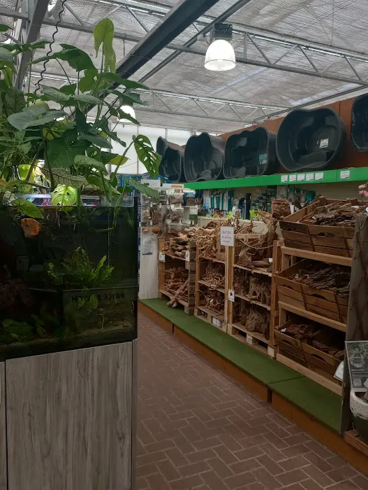 Maidenhead Aquatics Stapleton Picture 2