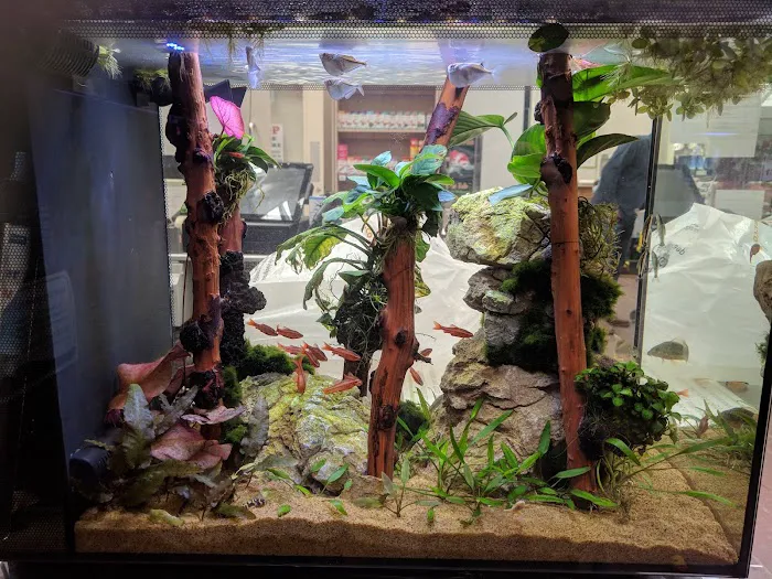 Maidenhead Aquatics Stapleton Picture 3