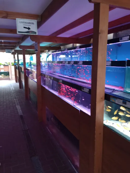 Maidenhead Aquatics Stapleton Picture 6