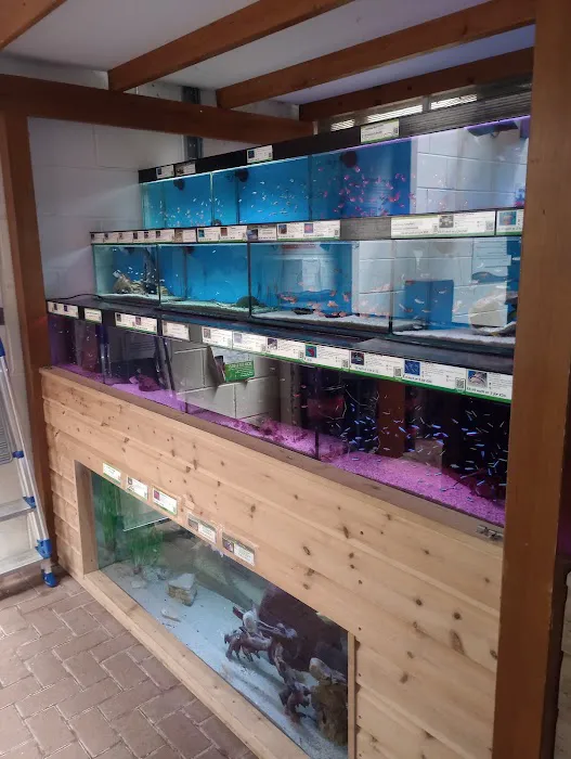 Maidenhead Aquatics Stapleton Picture 4