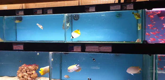 Maidenhead Aquatics Stapleton Picture 7