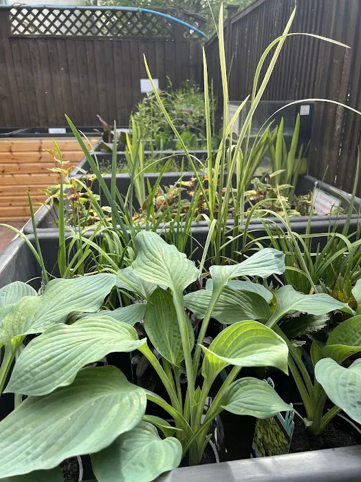 Maidenhead Aquatics Stapleton Picture 10