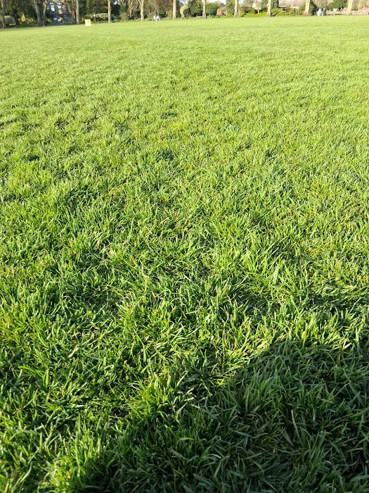 Sheltone Poultry Picture 1