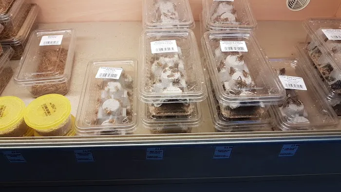 Pingles Pet Store Picture 1