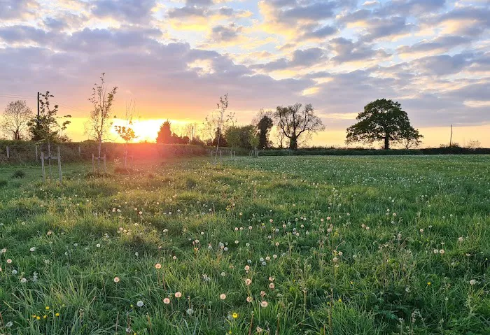 Pingles Pet Store Picture 2